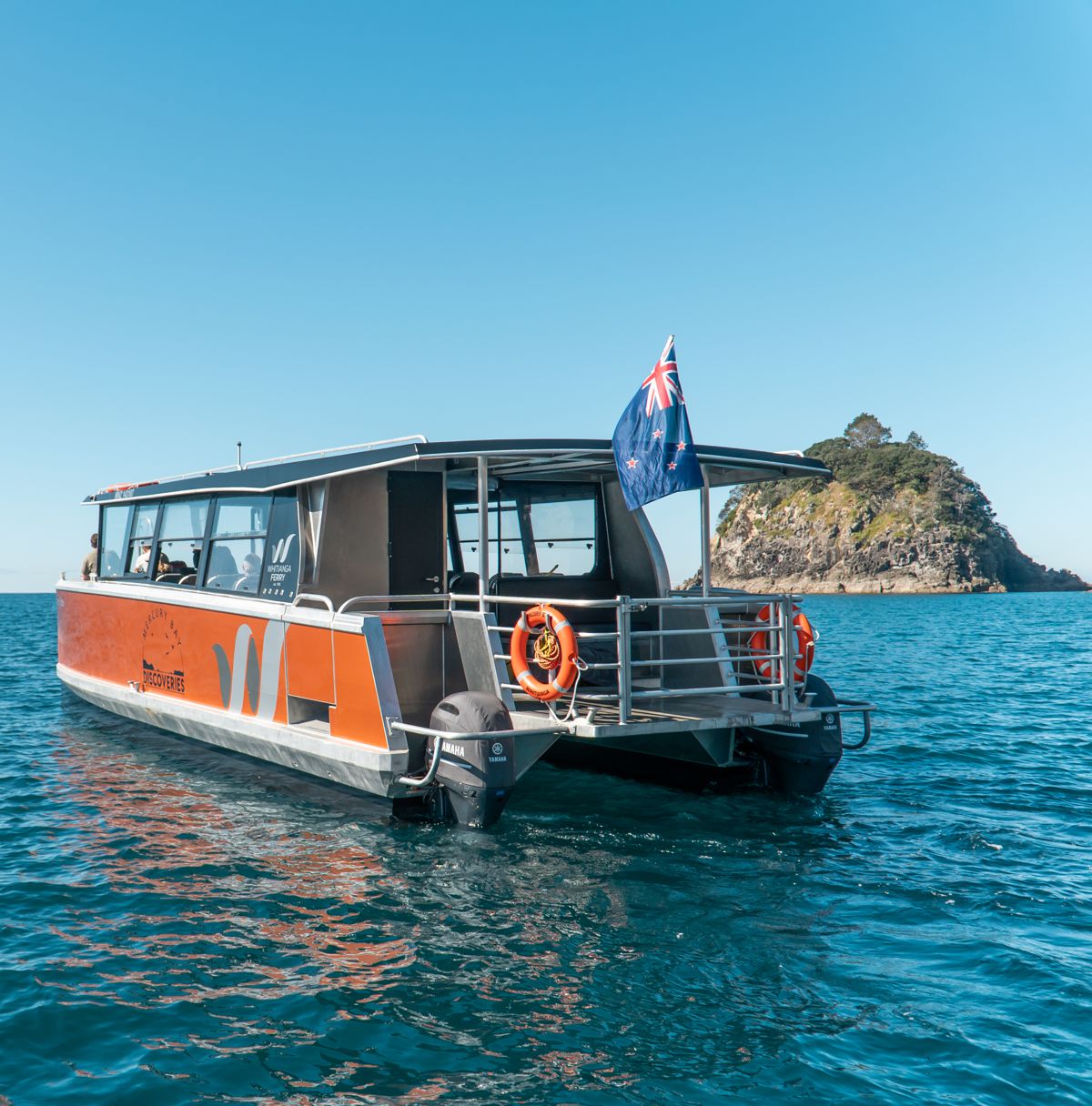 Mercury Bay Discoveries Whitianga FAQ boat tours Whitianga