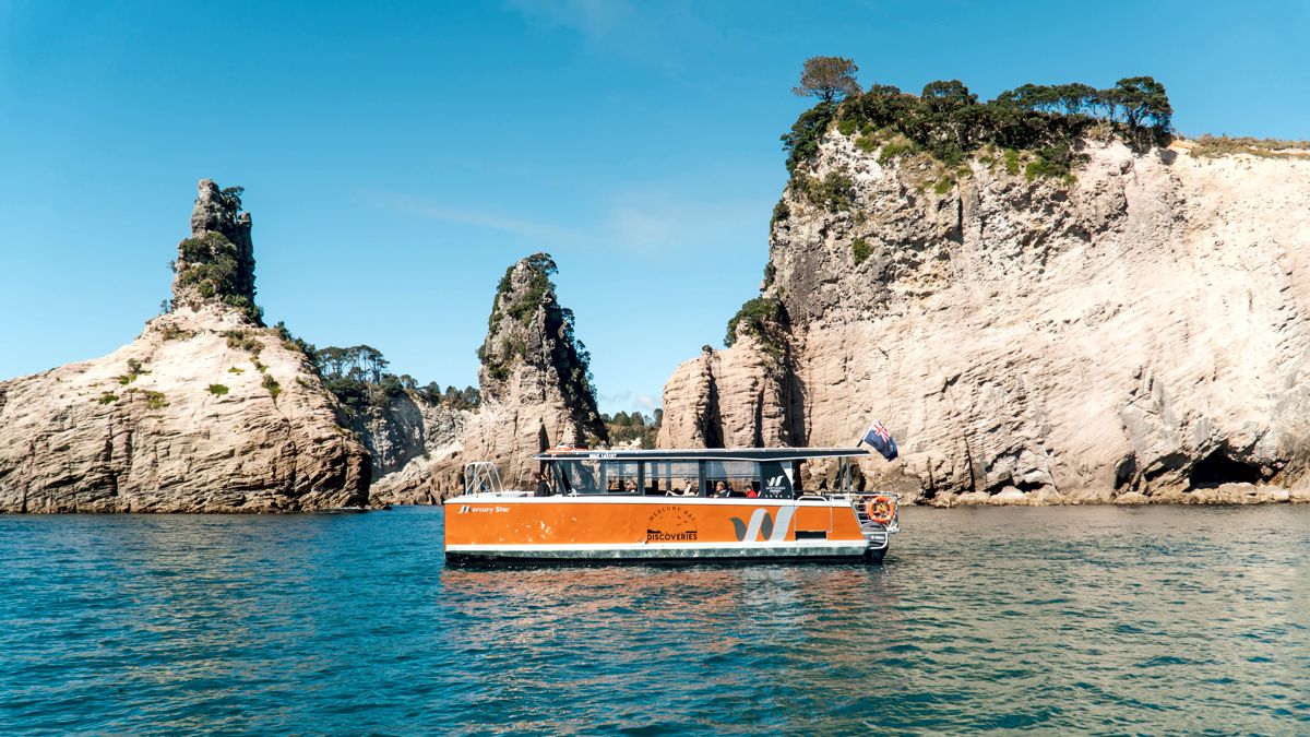 Private Boat Charters & Tours Whitianga - Mercury Bay Discoveries