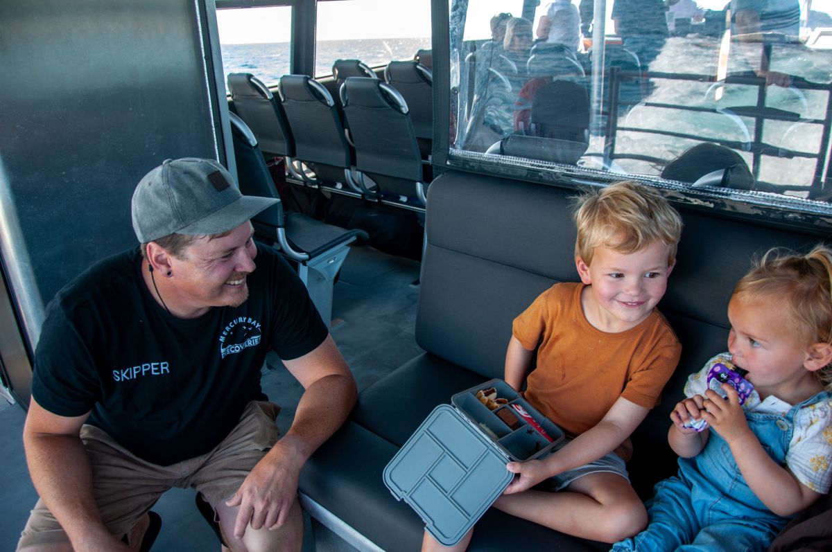 Mercury Bay Discoveries Scenic Boat Tours Cathedral Cove