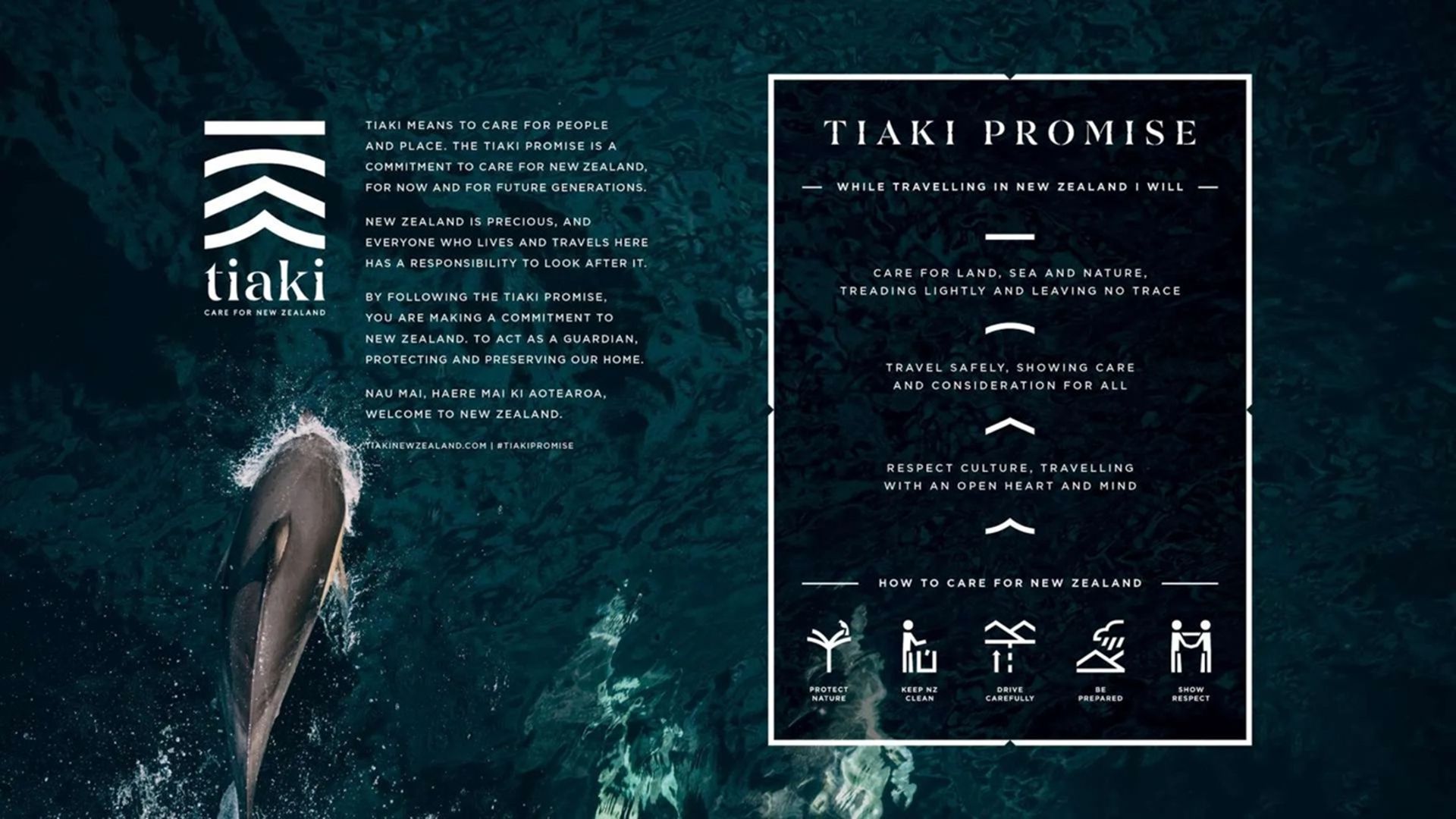 Tiaki Promise